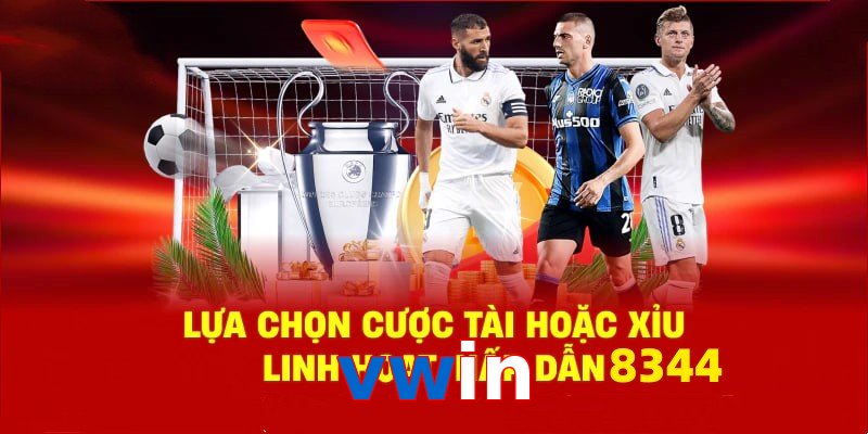 Danh mục đa dạng, đoán chuẩn là nhận tiền